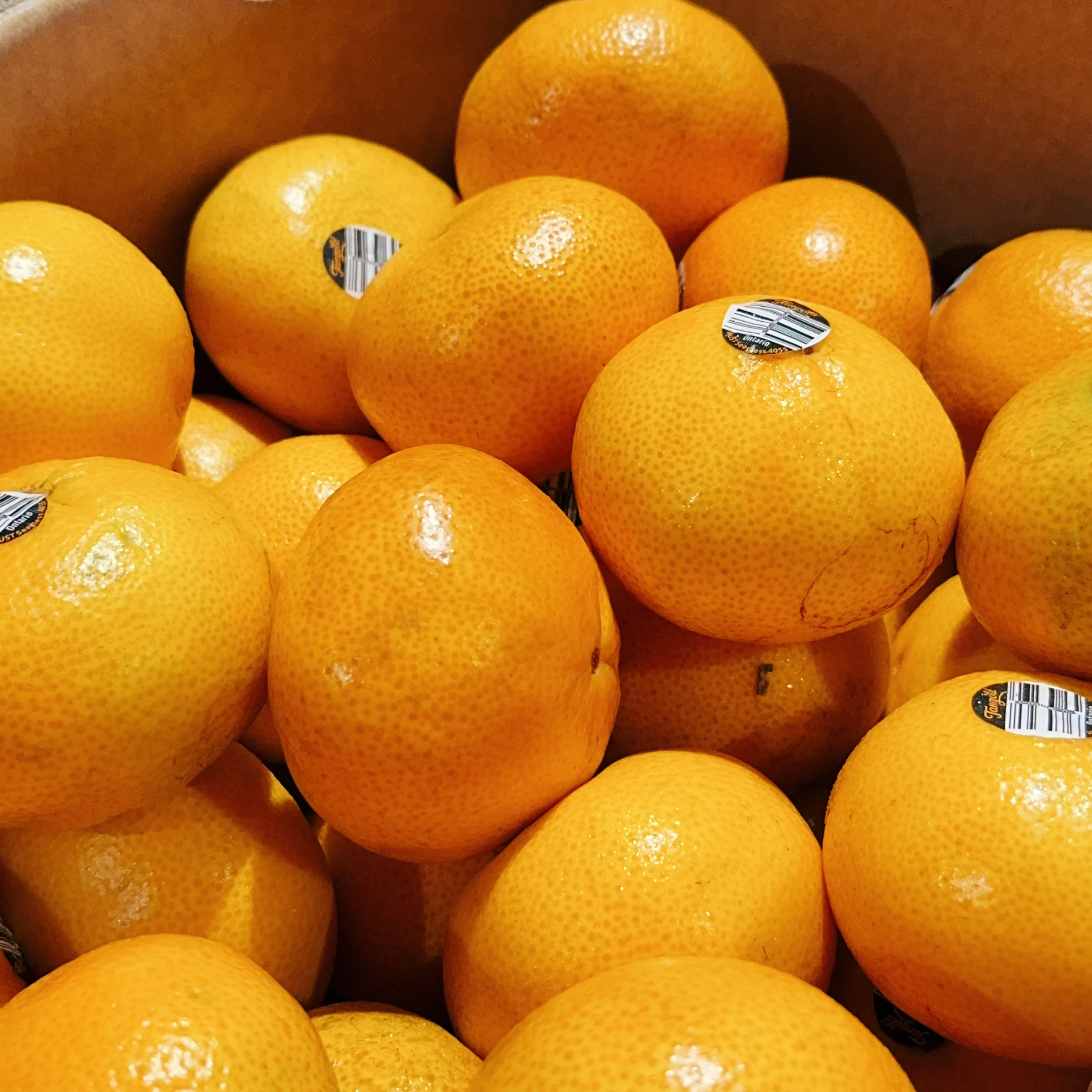 Tangold Mandarins - 1kg - Image 2