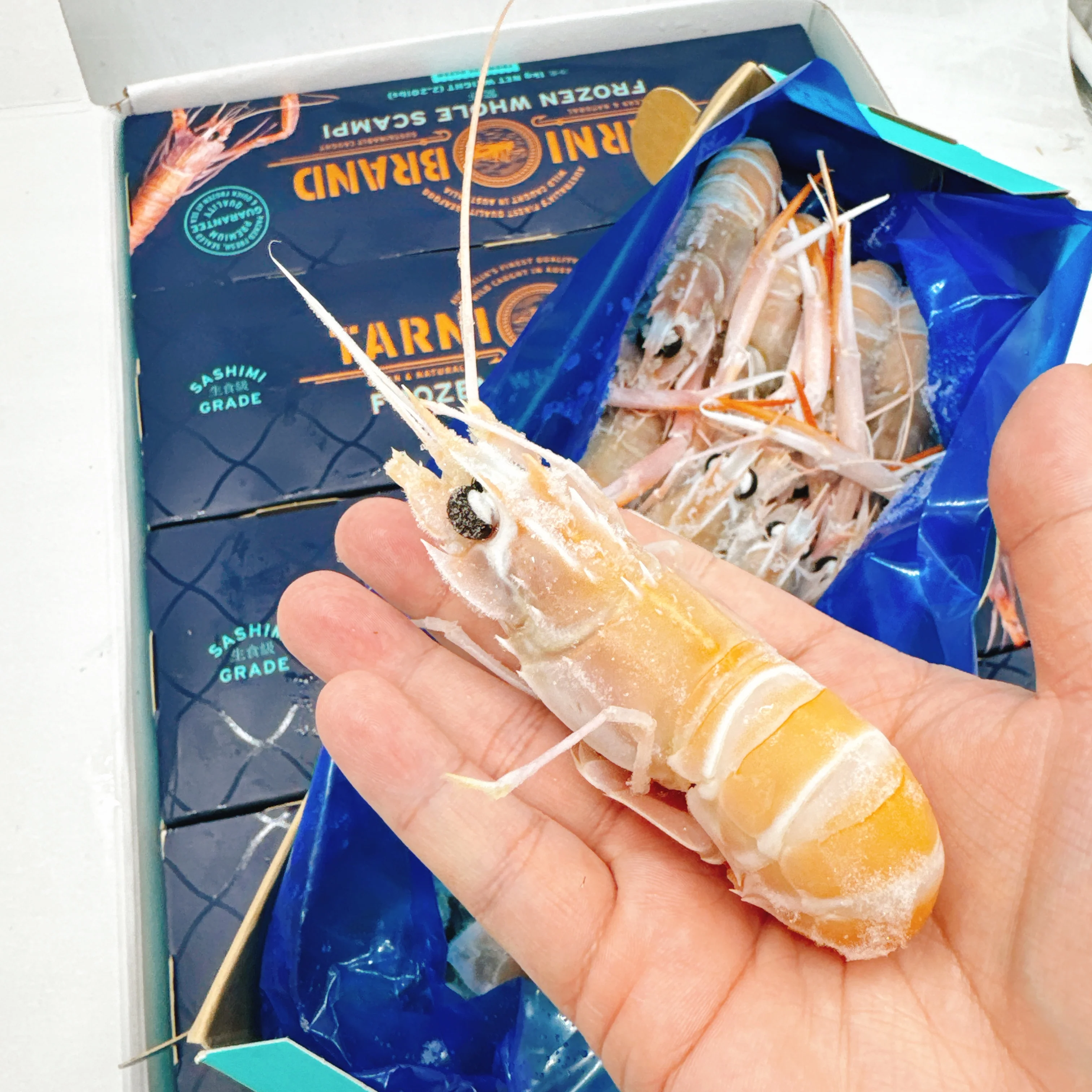 Tarini Brand Frozen Wild Western Australian Scampi NO.4 - 1kg - Image 2