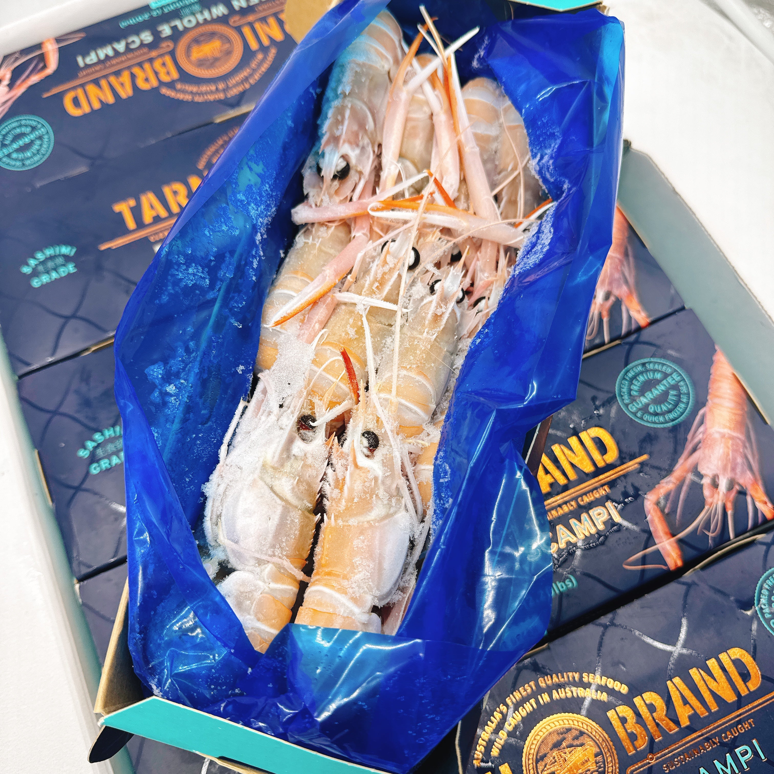 Tarini Brand Frozen Wild Western Australian Scampi NO.4 - 1kg - Image 3