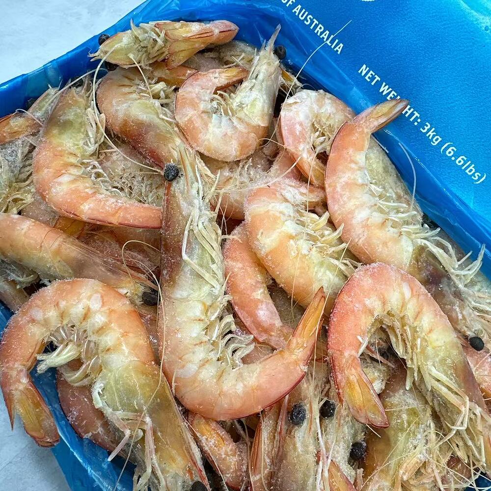 Tarni Brand Frozen Sashimi Grade Cooked Whole Prawns U20 - 3kg Carton - Image 2