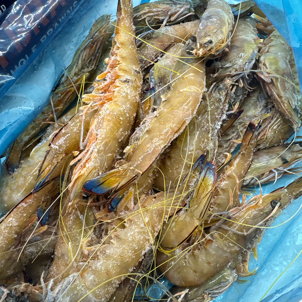 Tarni Brand Sashimi Grade King Raw Prawn Size 16/20 (Whole Box) - 1kg - Image 3