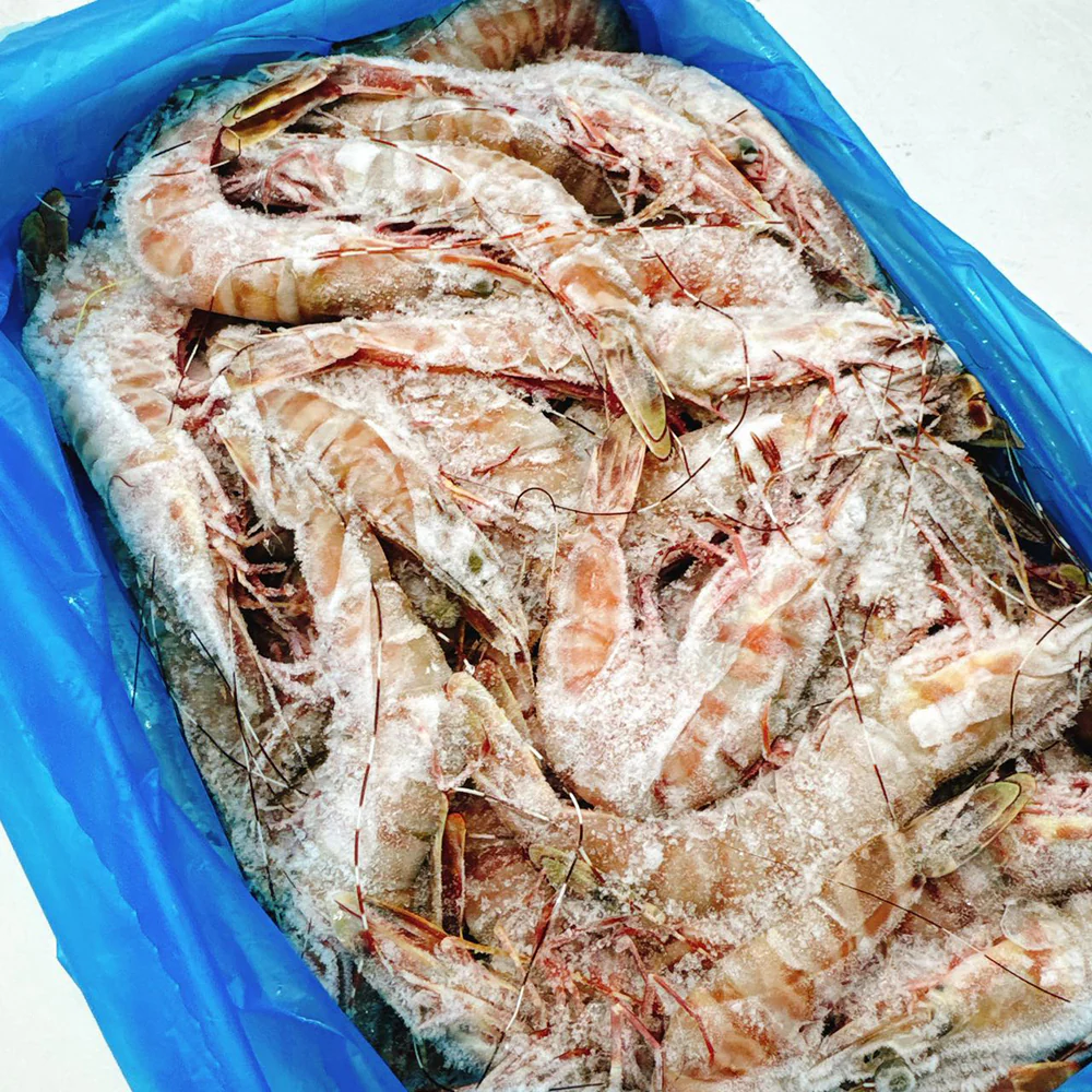Tarni Brand Sashimi Grade Raw Brown Tiger Prawns Size 16/20 - 3kg - Image 2