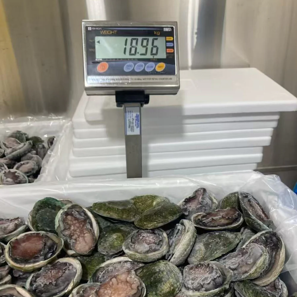 Tas Custom Frozen Black Gold Abalone 8-10 Pieces - 1kg - Image 3