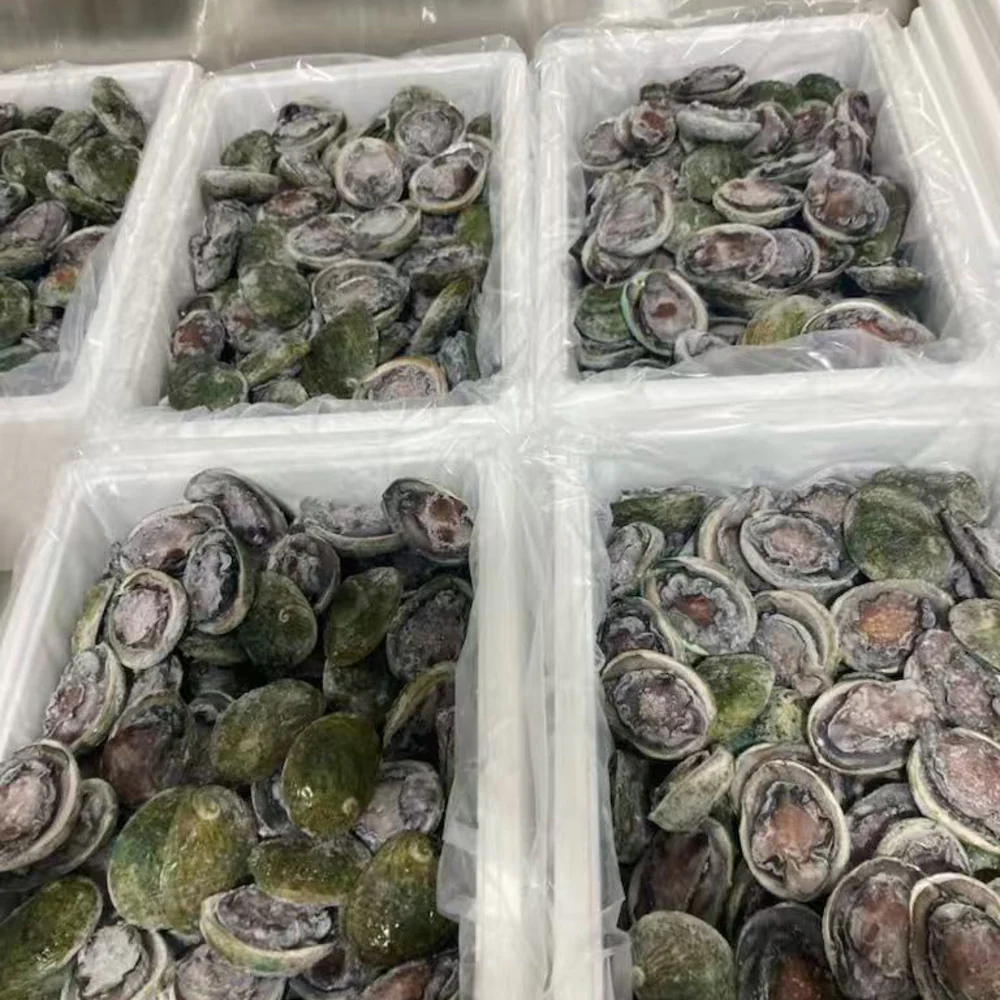 Tas Custom Frozen Black Gold Abalone 8-10 Pieces - 1kg - Image 4