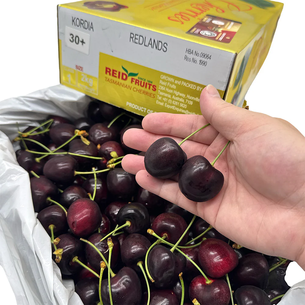 Tasmania Premium Gold Box Reid Kordia Cherries 30mm+ Gift Box 2kg - Image 3