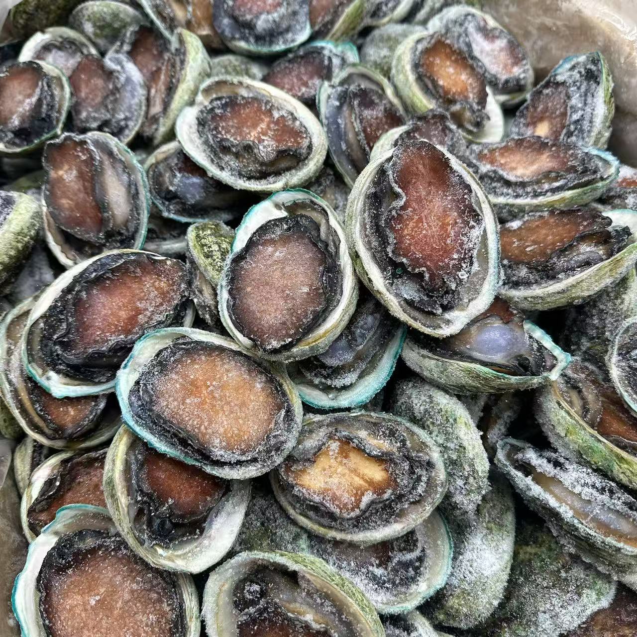 Tasmanian Black Gold Frozen Abalone - 6 Pieces. 500g