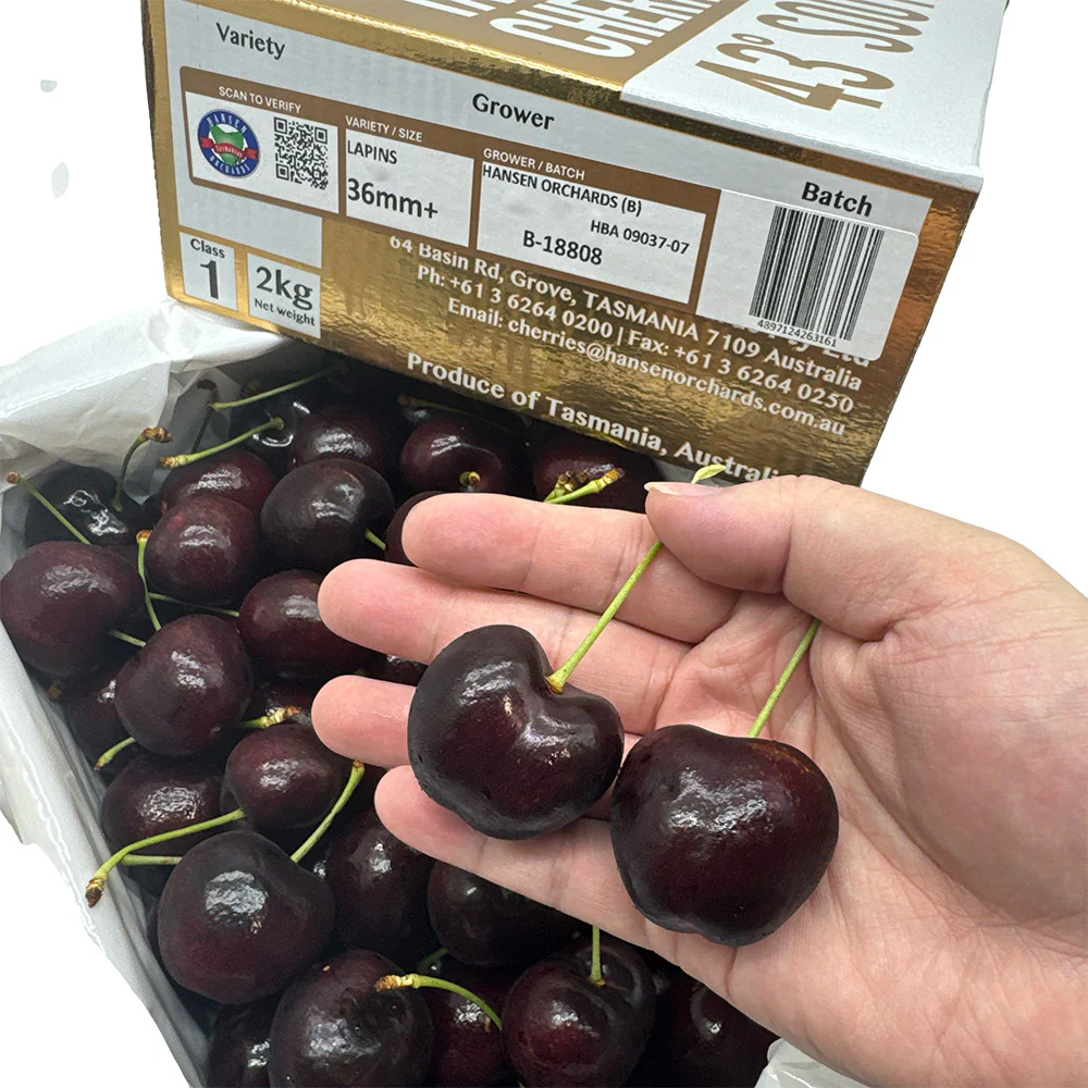 Tasmanian Hansen Lapin Cherries Gift Box 36mm+ - 2kg - Image 3