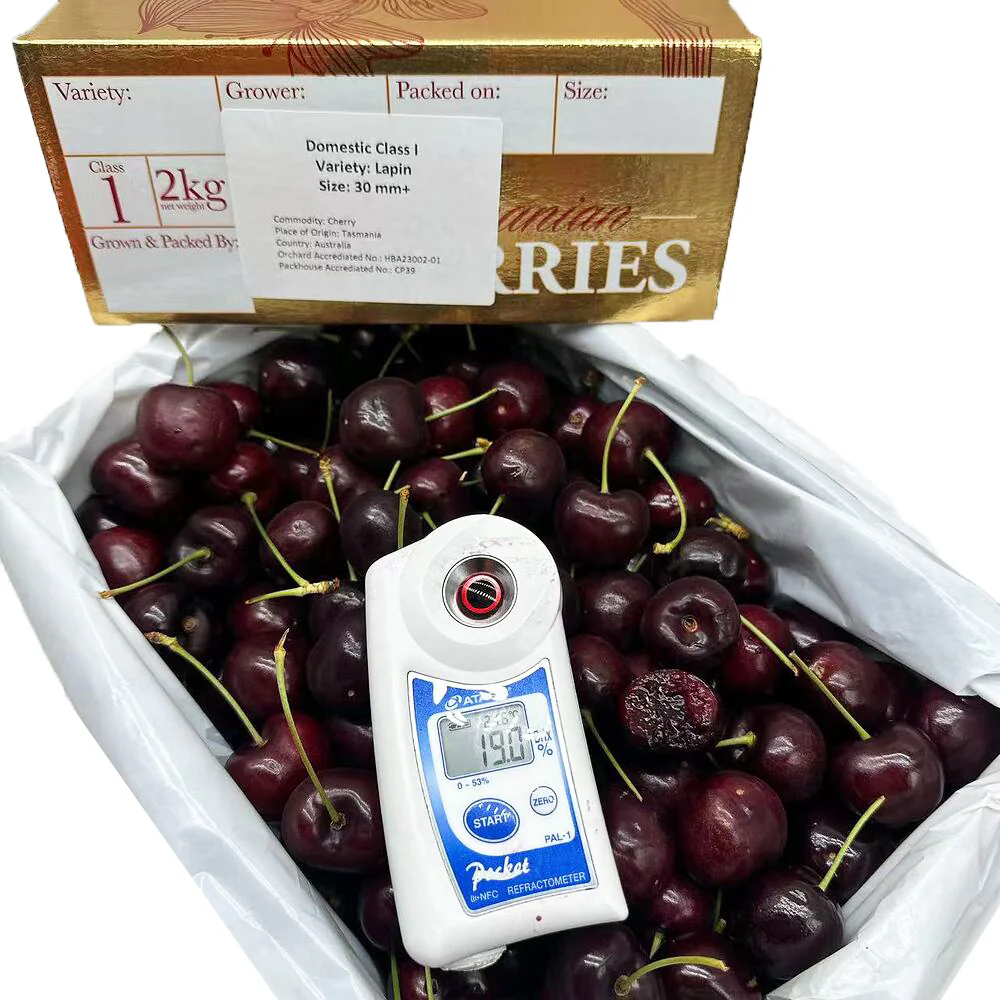 Tasmanian Lapin Cherries 30–32mm Gift Box 2kg - Image 2