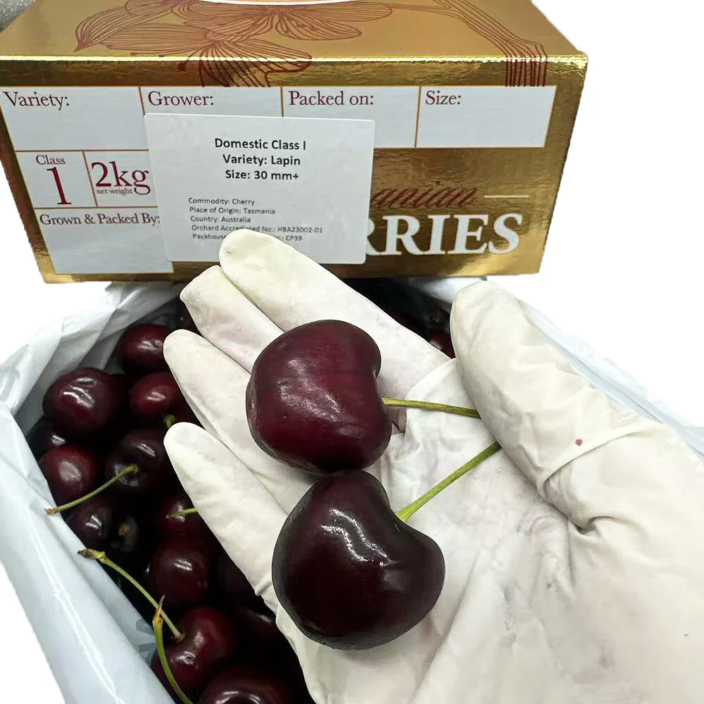 Tasmanian Lapin Cherries 30–32mm Gift Box 2kg - Image 3
