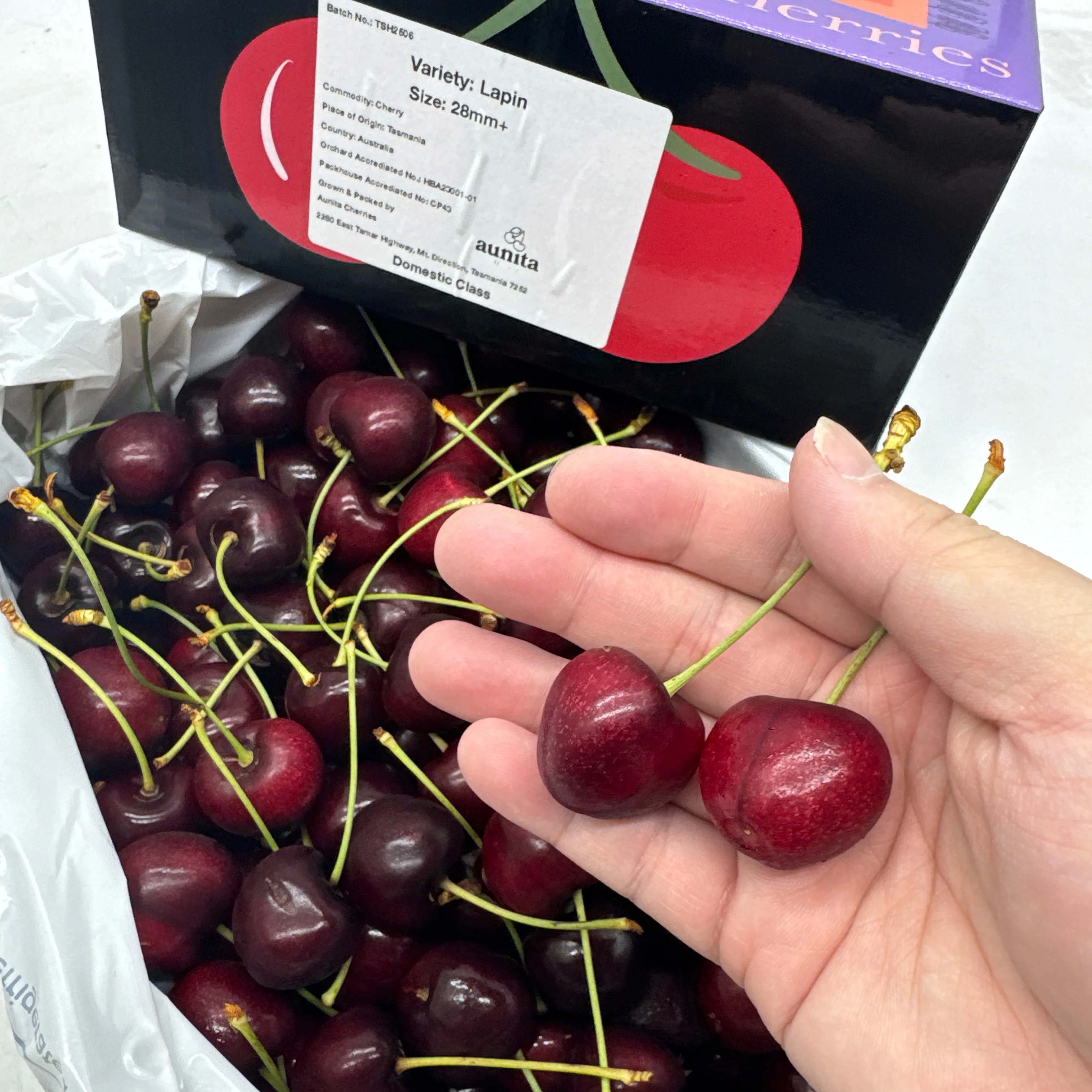 Tasmanian Lapin Cherries Gift Box 28-30mm - 2kg - Image 3
