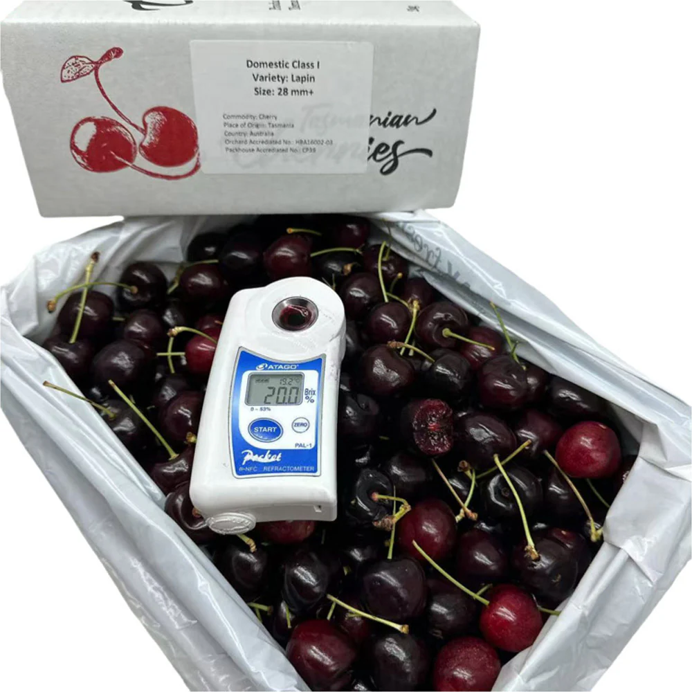 Tasmanian Lapin Cherries Gift Box 28–30mm – 2kg - Image 2