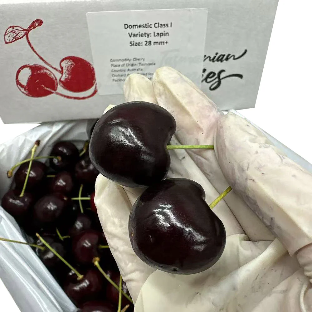 Tasmanian Lapin Cherries Gift Box 28–30mm – 2kg - Image 3