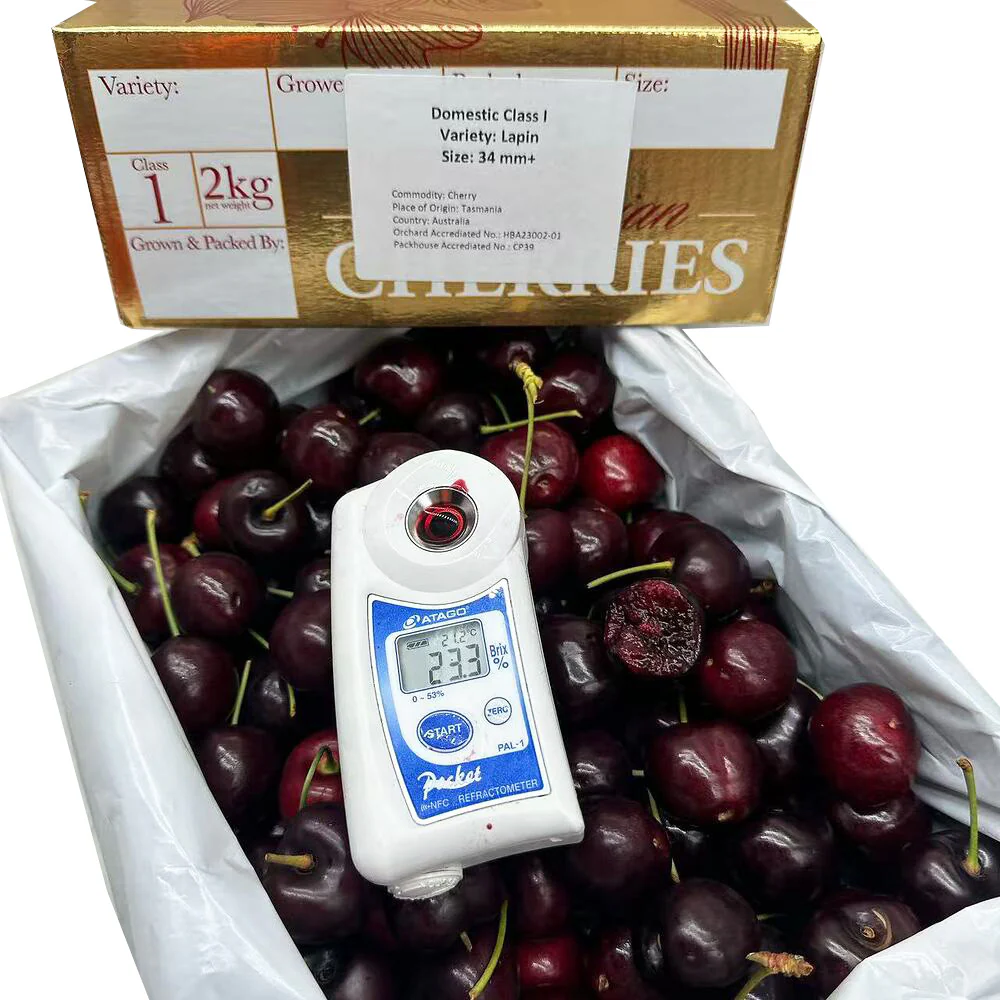 Tasmanian Lapin Cherries Gift Box 2kg (34–36mm) - Image 2