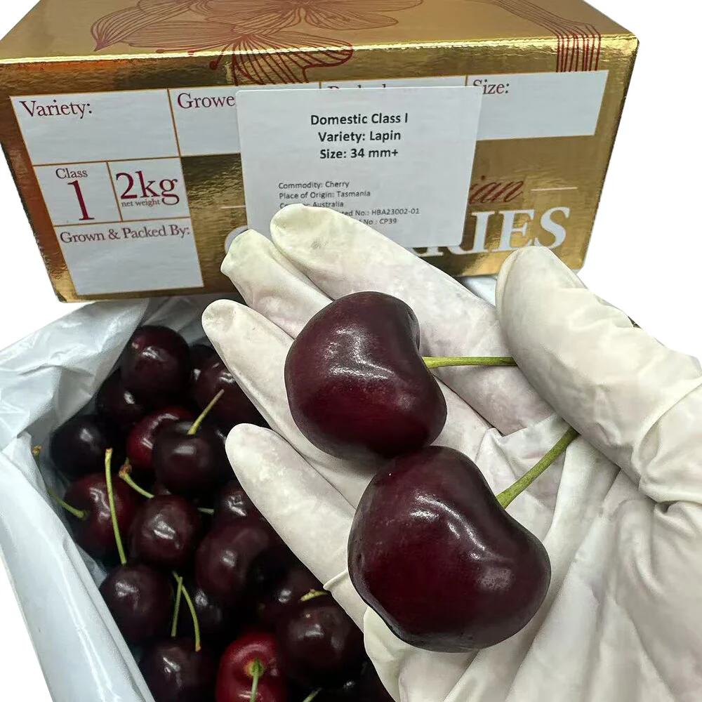 Tasmanian Lapin Cherries Gift Box 2kg (34–36mm) - Image 3