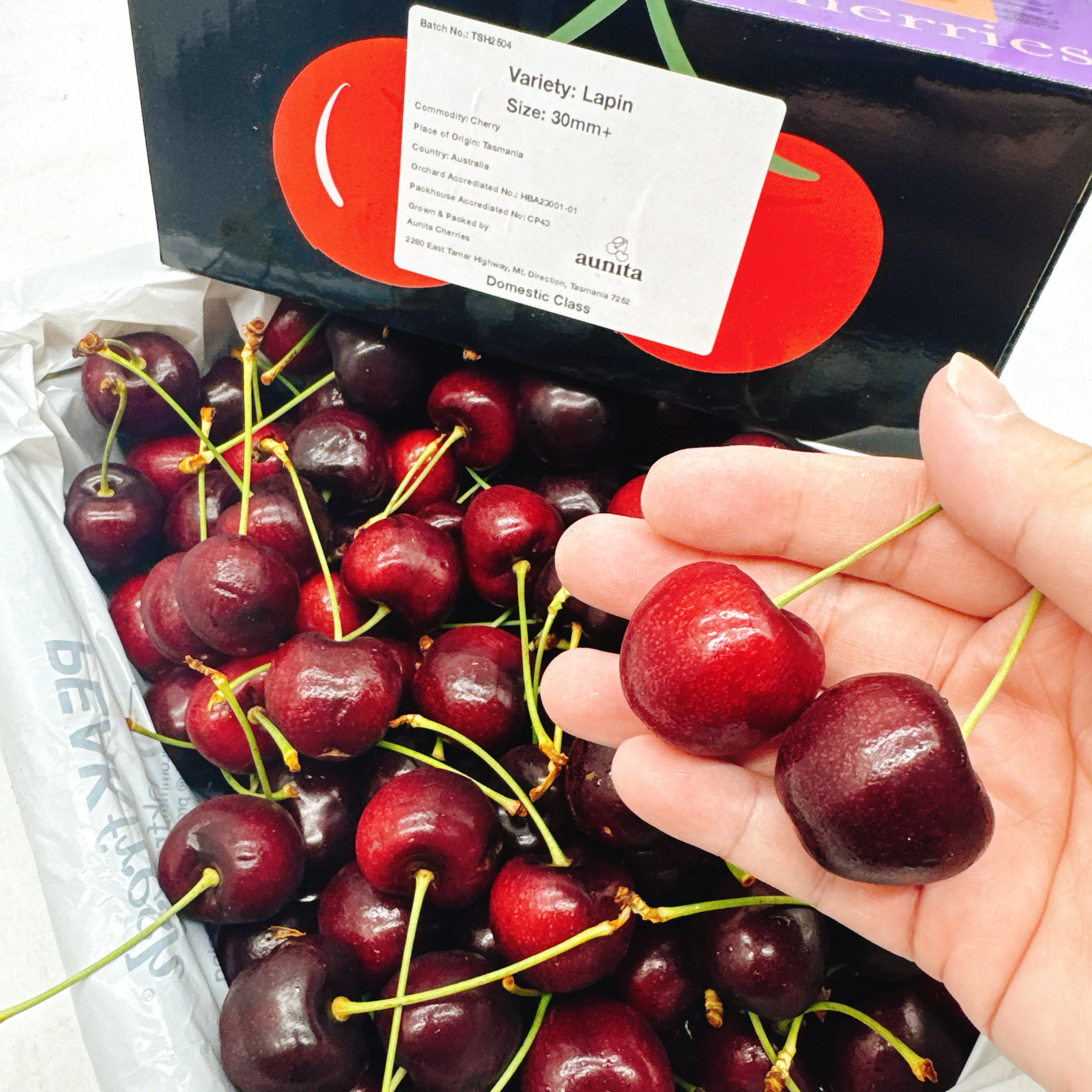 Tasmanian Lapin Cherries Gift Box 30-32mm - 2kg - Image 2