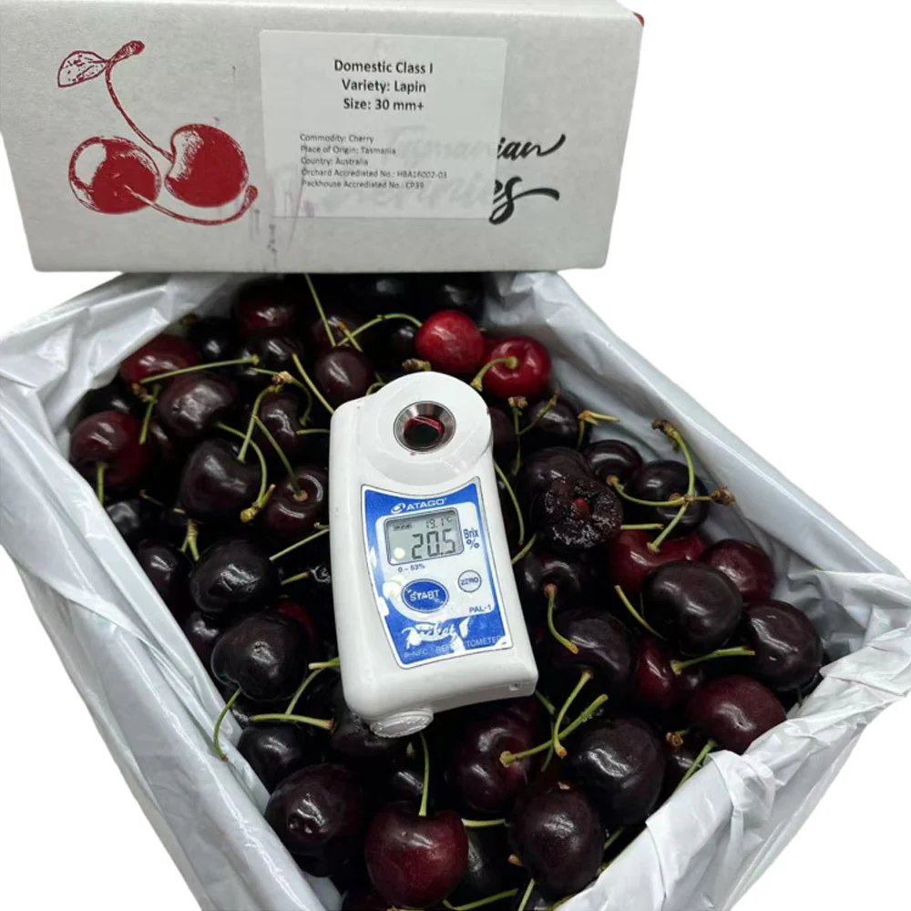 Tasmanian Lapin Cherries Gift Box 30–32mm - 2kg - Image 2