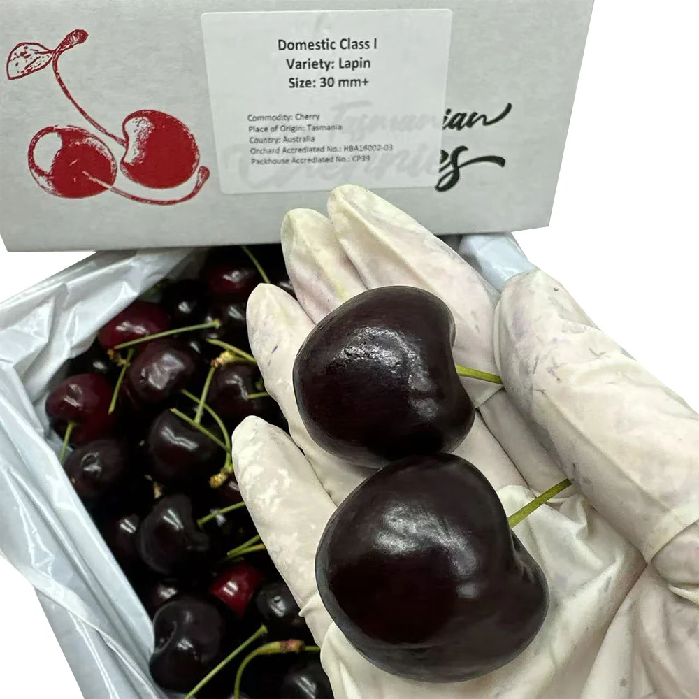 Tasmanian Lapin Cherries Gift Box 30–32mm - 2kg - Image 3