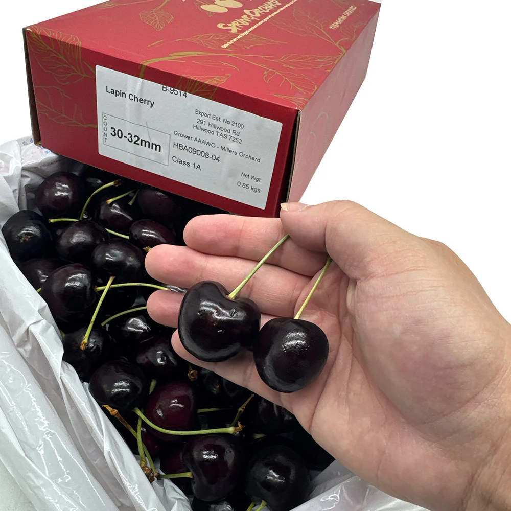 Tasmanian Lapin Cherries Gift Box - 30-32mm, 850g - Image 2
