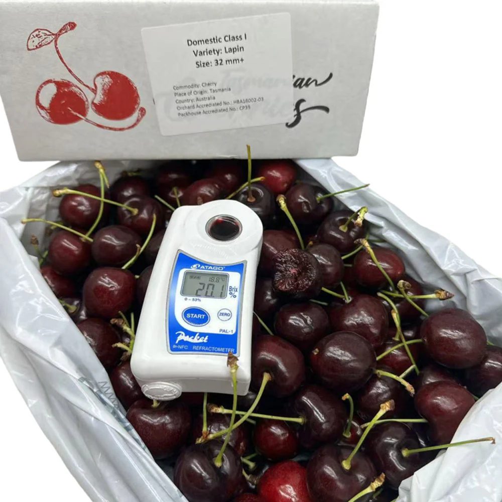 Tasmanian Lapin Cherries Gift Box 32–34mm – 2kg - Image 2