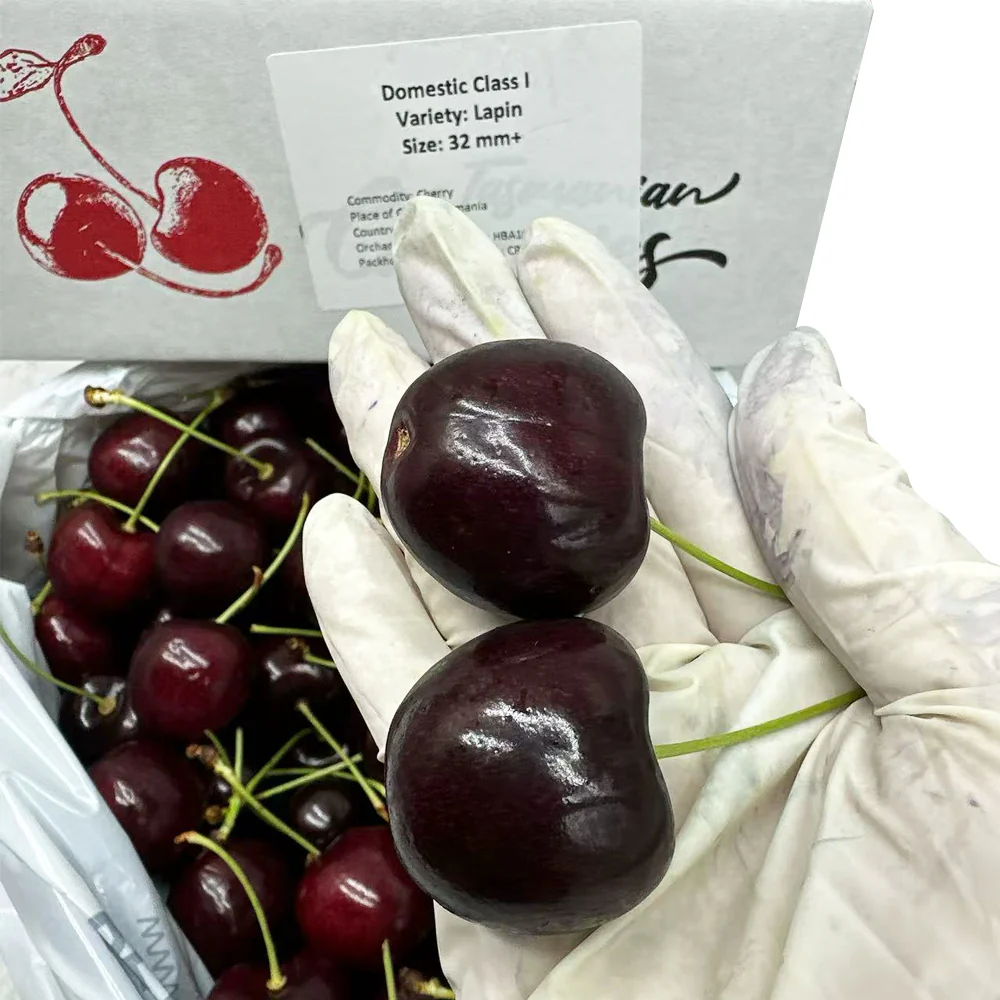 Tasmanian Lapin Cherries Gift Box 32–34mm – 2kg - Image 3