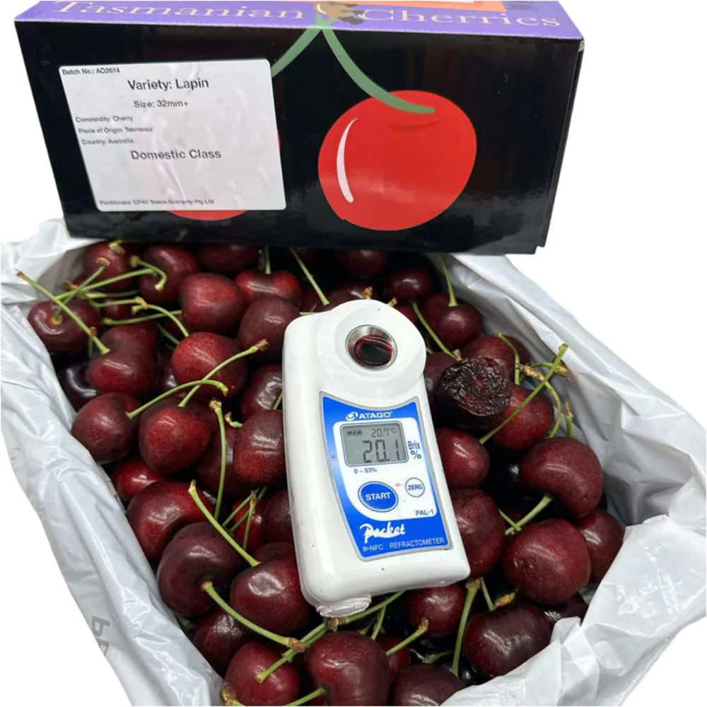 Tasmanian Lapin Cherries Gift Box 32–34mm – 2kg - Image 2