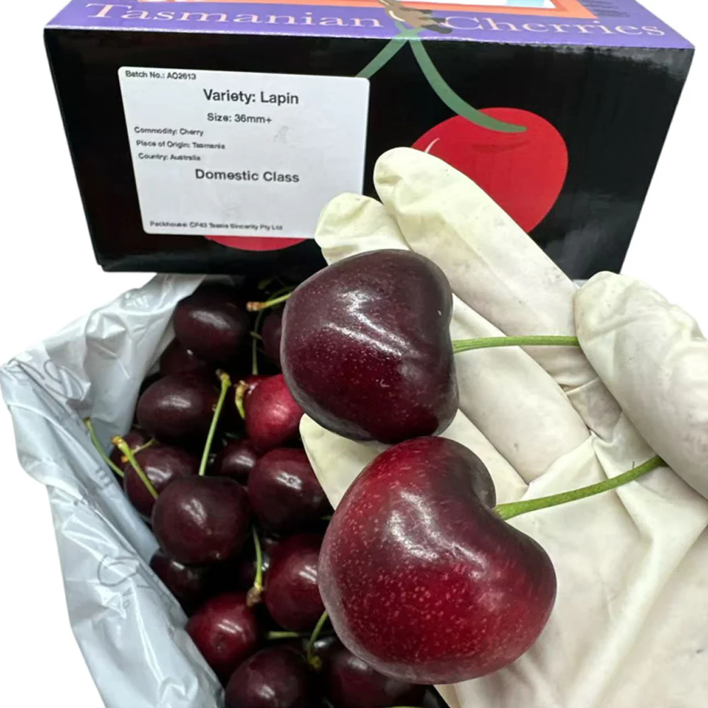 Tasmanian Lapin Cherries Gift Box 32–34mm – 2kg - Image 3
