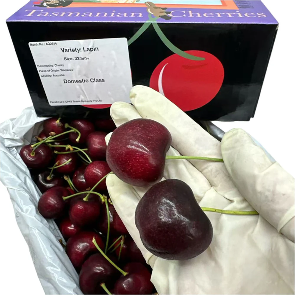 Tasmanian Lapin Cherries Gift Box 32–34mm – 2kg - Image 6