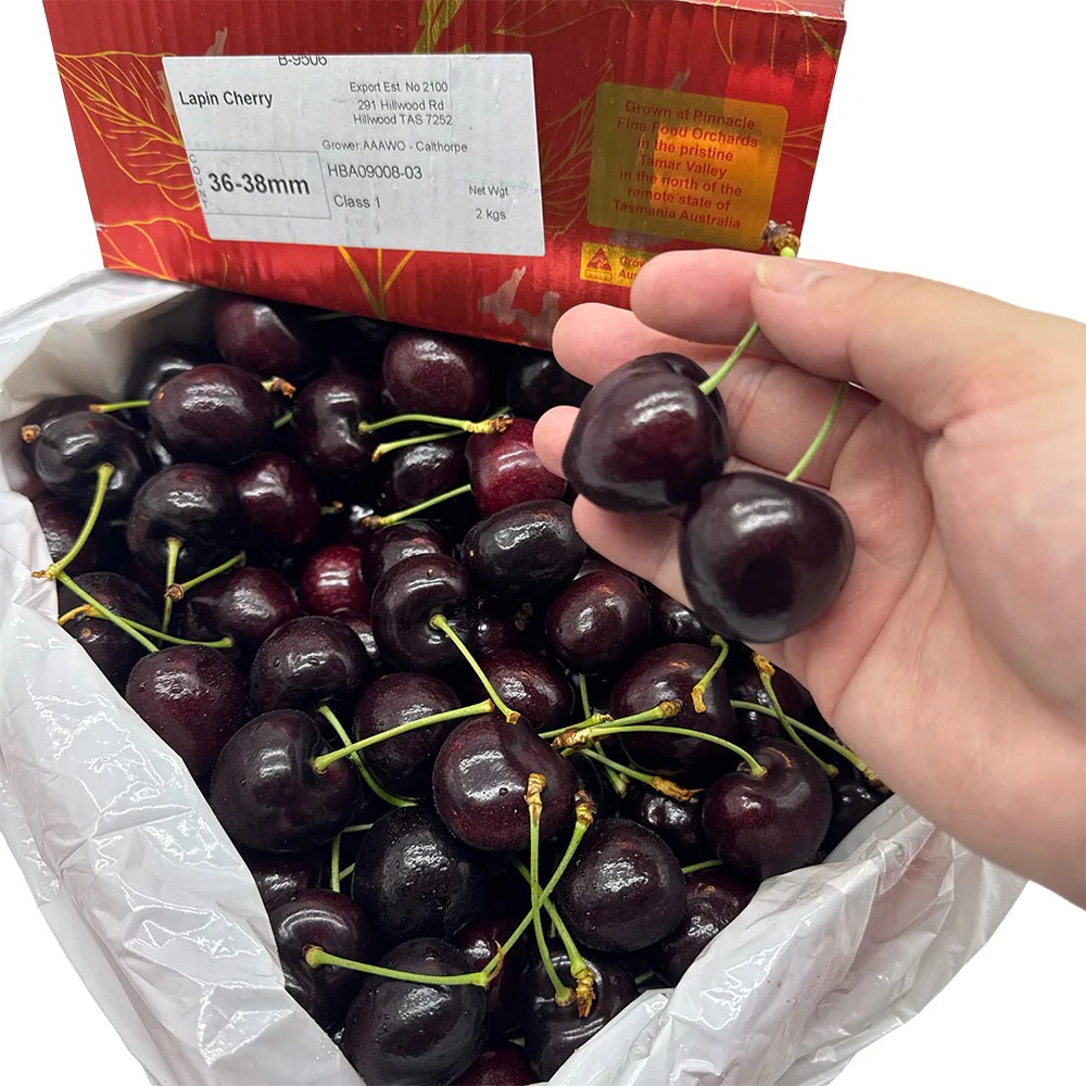 Tasmanian Lapin Cherries Gift Box - 36-38mm, 2kg - Image 2