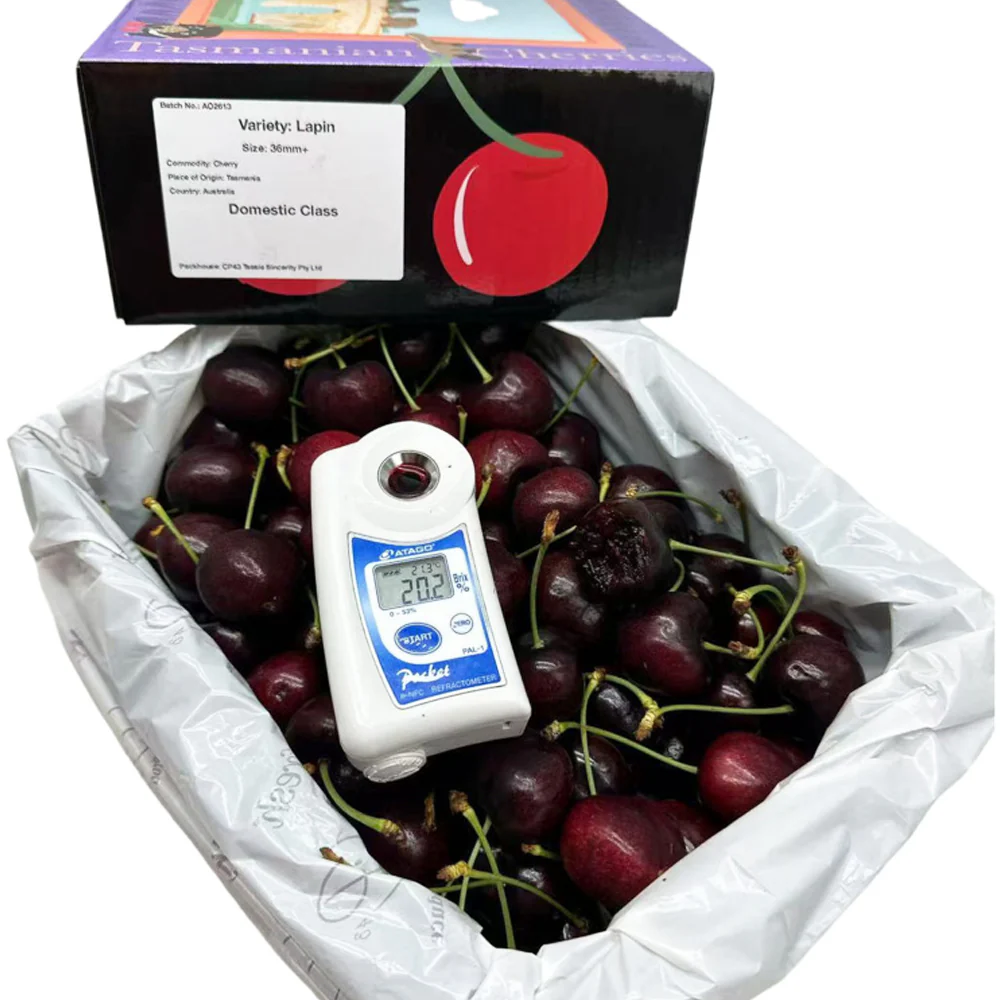 Tasmanian Lapin Cherries Gift Box 36–38mm – 2kg - Farm Direct from Tasmania - Image 2