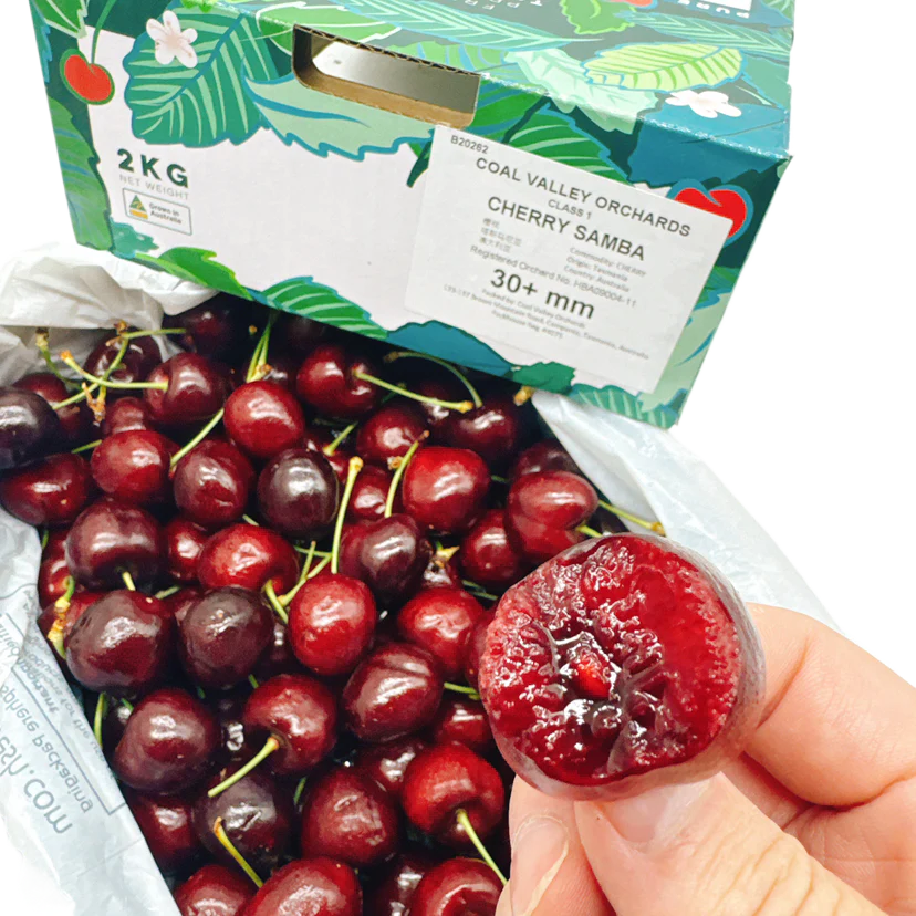 Tasmanian Samba Cherries Gift Box 30mm+ - 2kg - Image 4