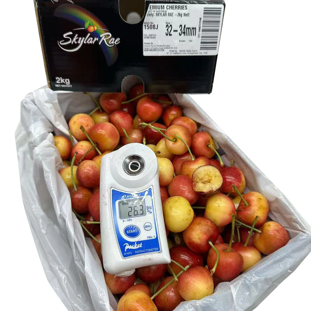 Tasmanian Skylar Rae White Cherries 32–34mm Gift Box 2kg - Image 2