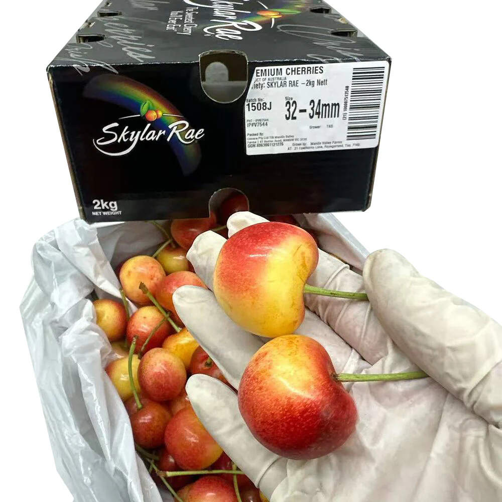 Tasmanian Skylar Rae White Cherries 32–34mm Gift Box 2kg - Image 3