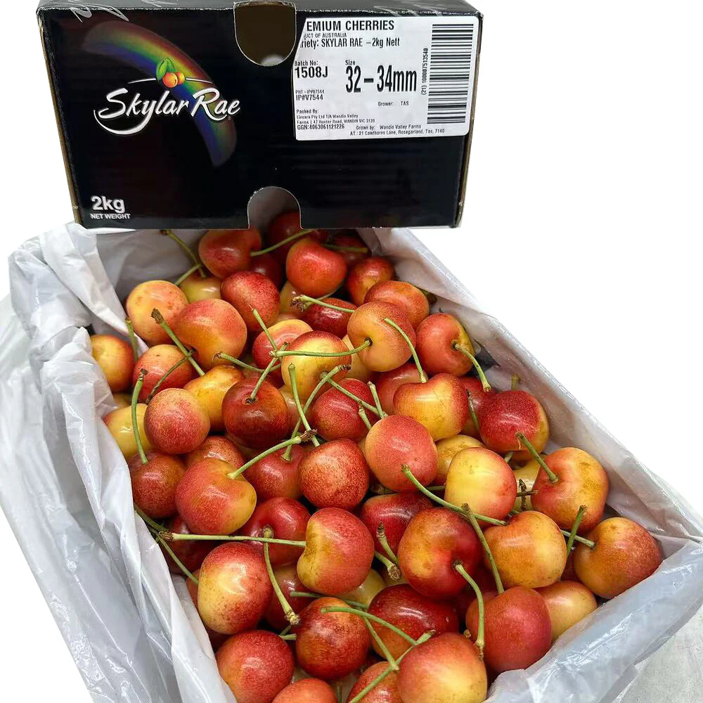 Tasmanian Skylar Rae White Cherries 32–34mm Gift Box 2kg - Image 5
