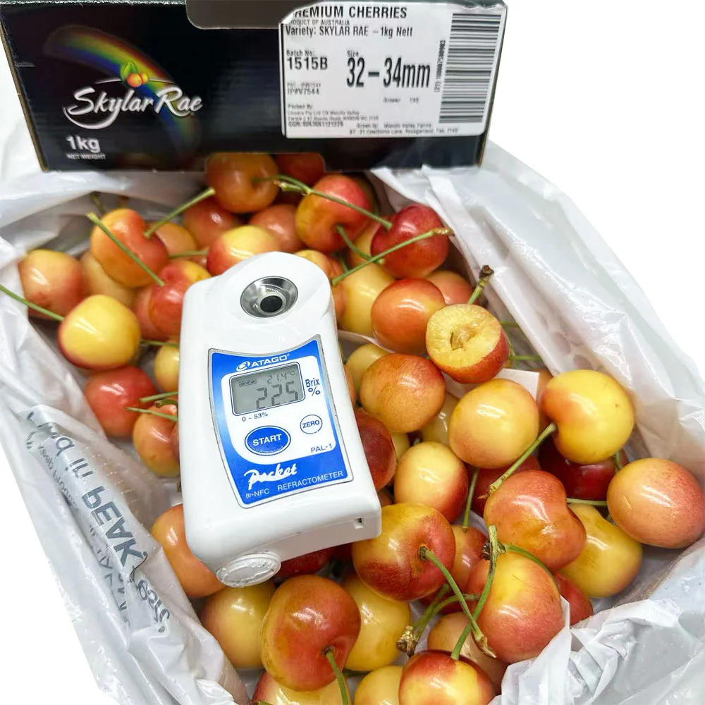 Tasmanian Skylar Rae White Cherries Gift Box 32–34mm 1kg - Image 2