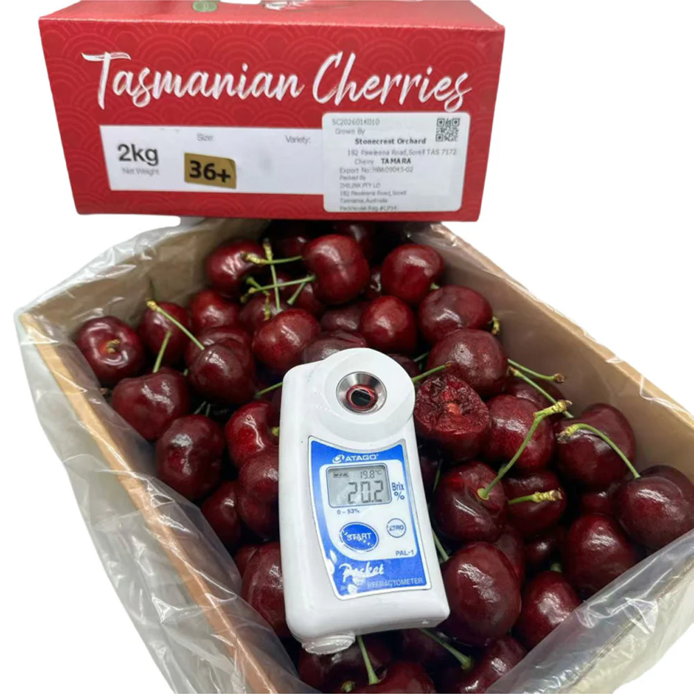 Tasmanian Tamara Cherries 36mm+ Gift Box 2kg - Image 2