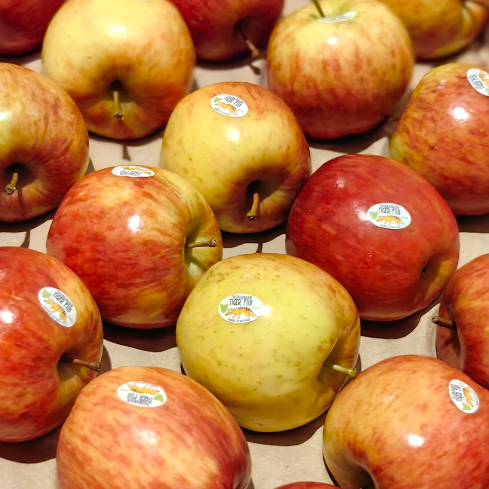 Tasmanian Tiger Fuji Apples - 1kg - Image 2