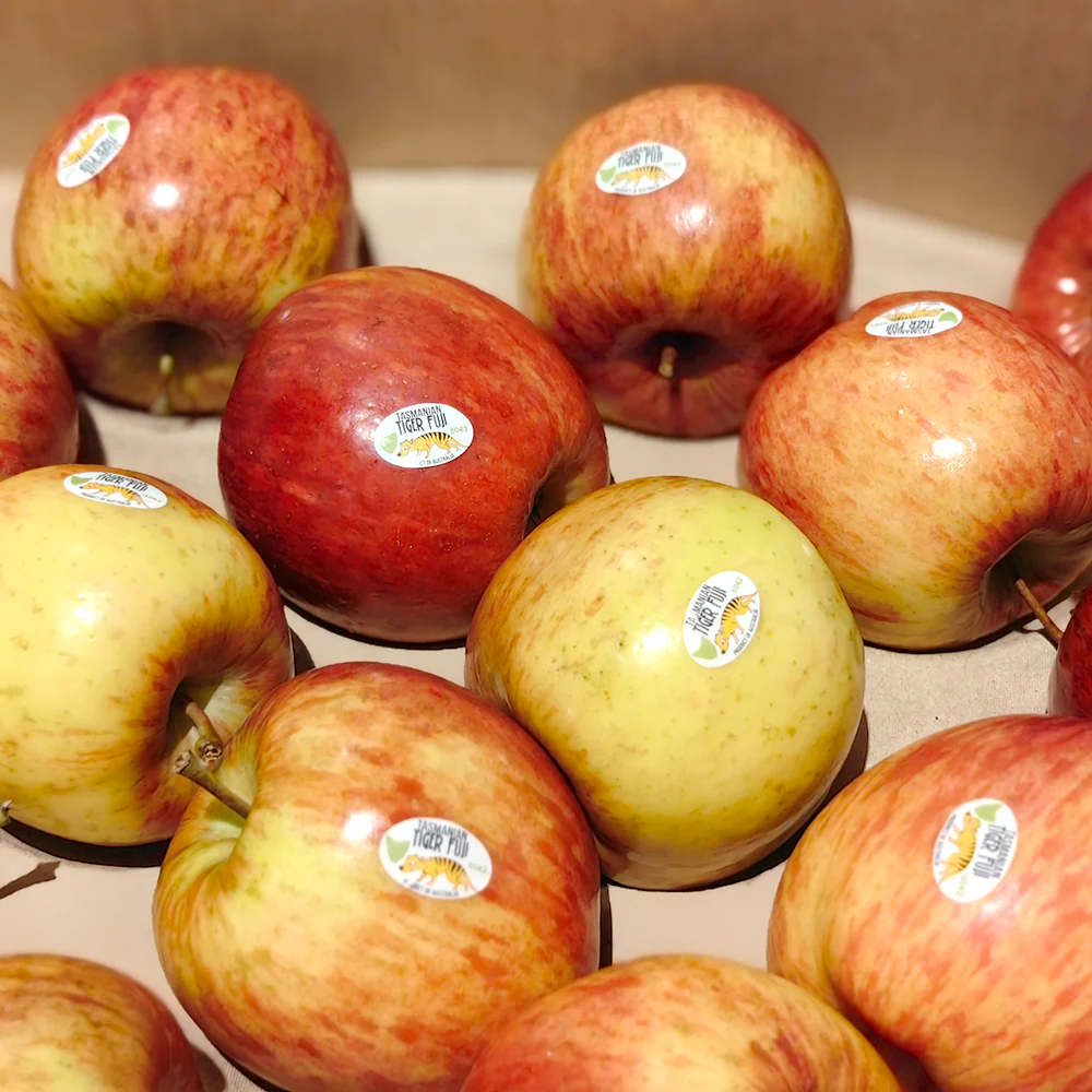 Tasmanian Tiger Fuji Apples - 1kg - Image 4