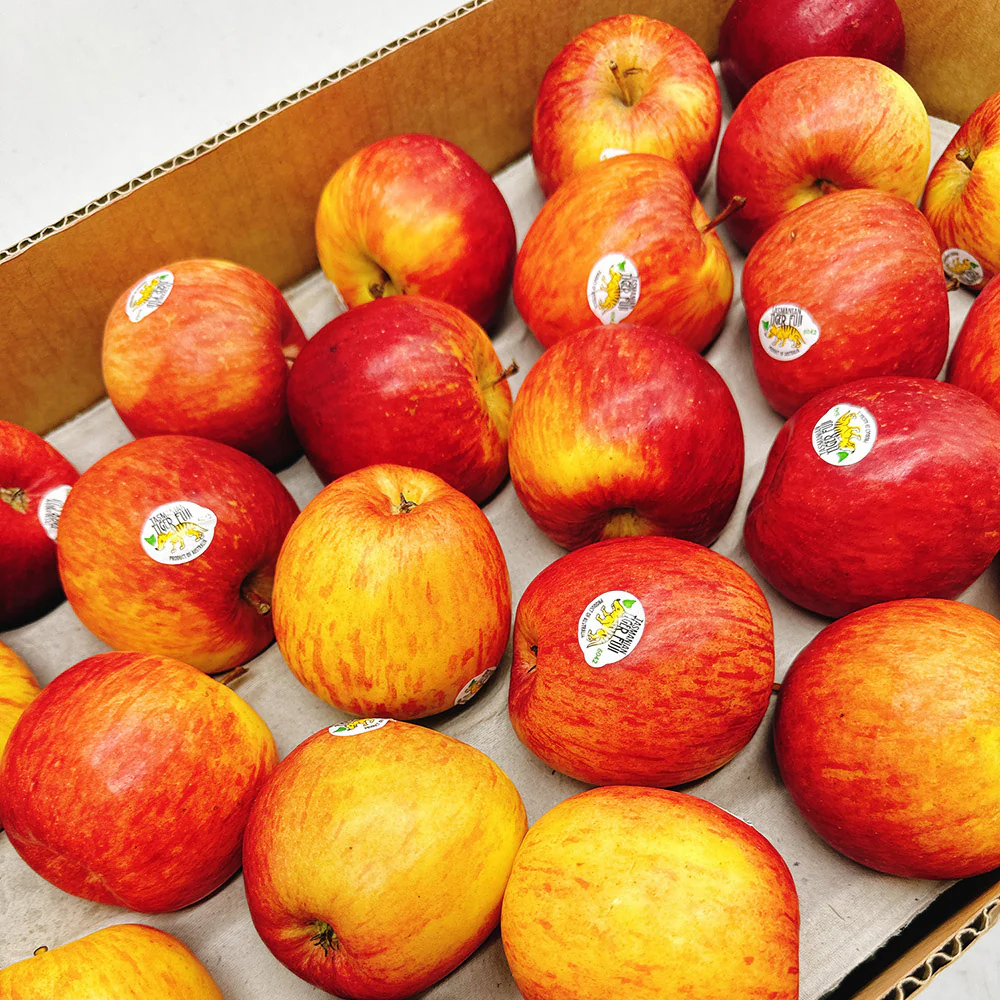 Tasmanian Tiger Fuji Apples - Box of 12.5kg - Image 2