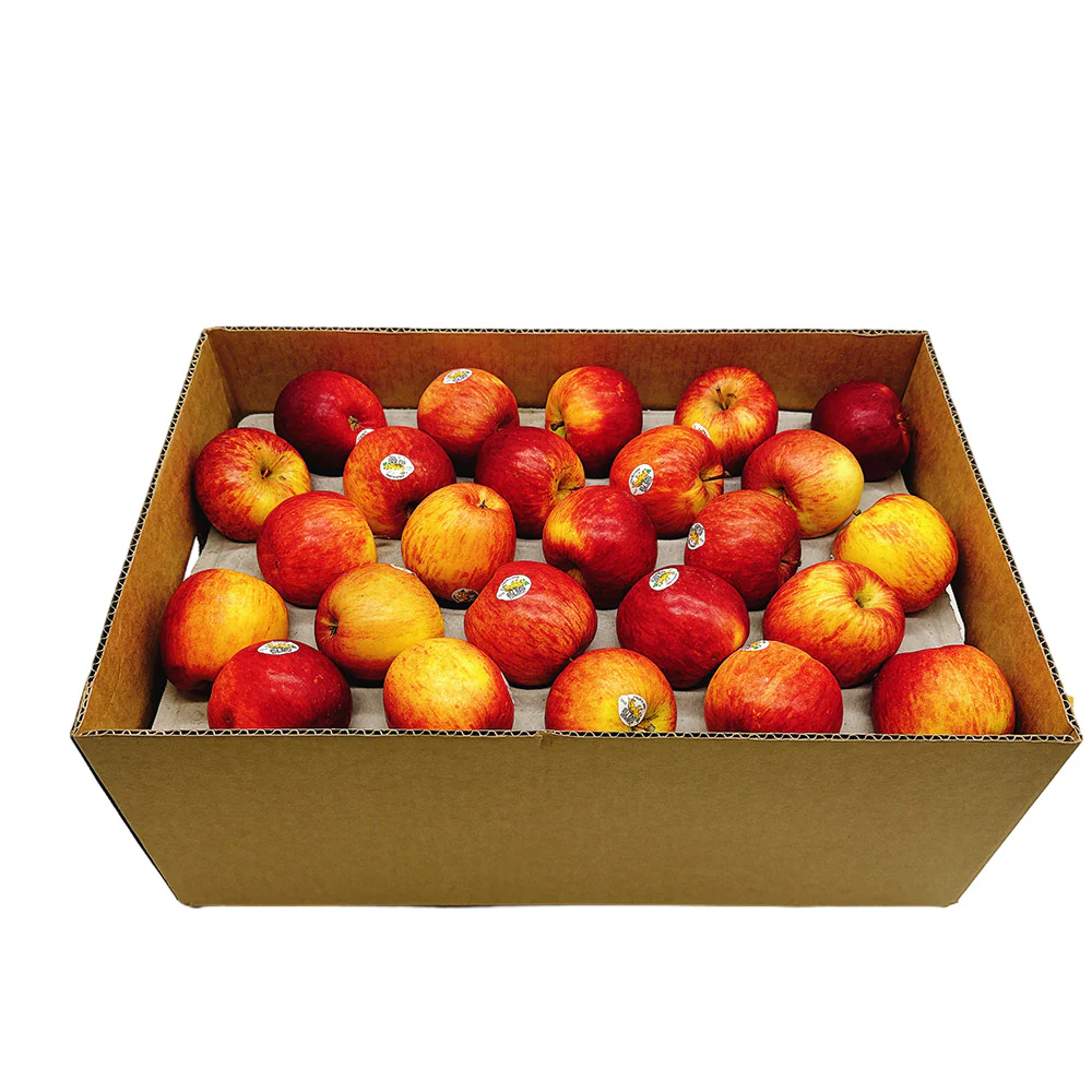 Tasmanian Tiger Fuji Apples - Box of 12.5kg - Image 4