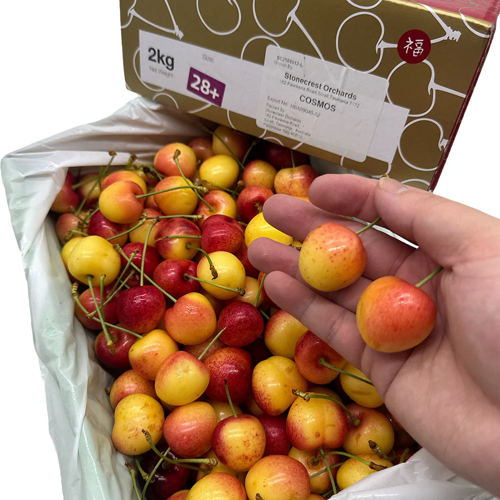 Tasmanian White Cherries Gift Box - 28mm+, 2kg - Image 3