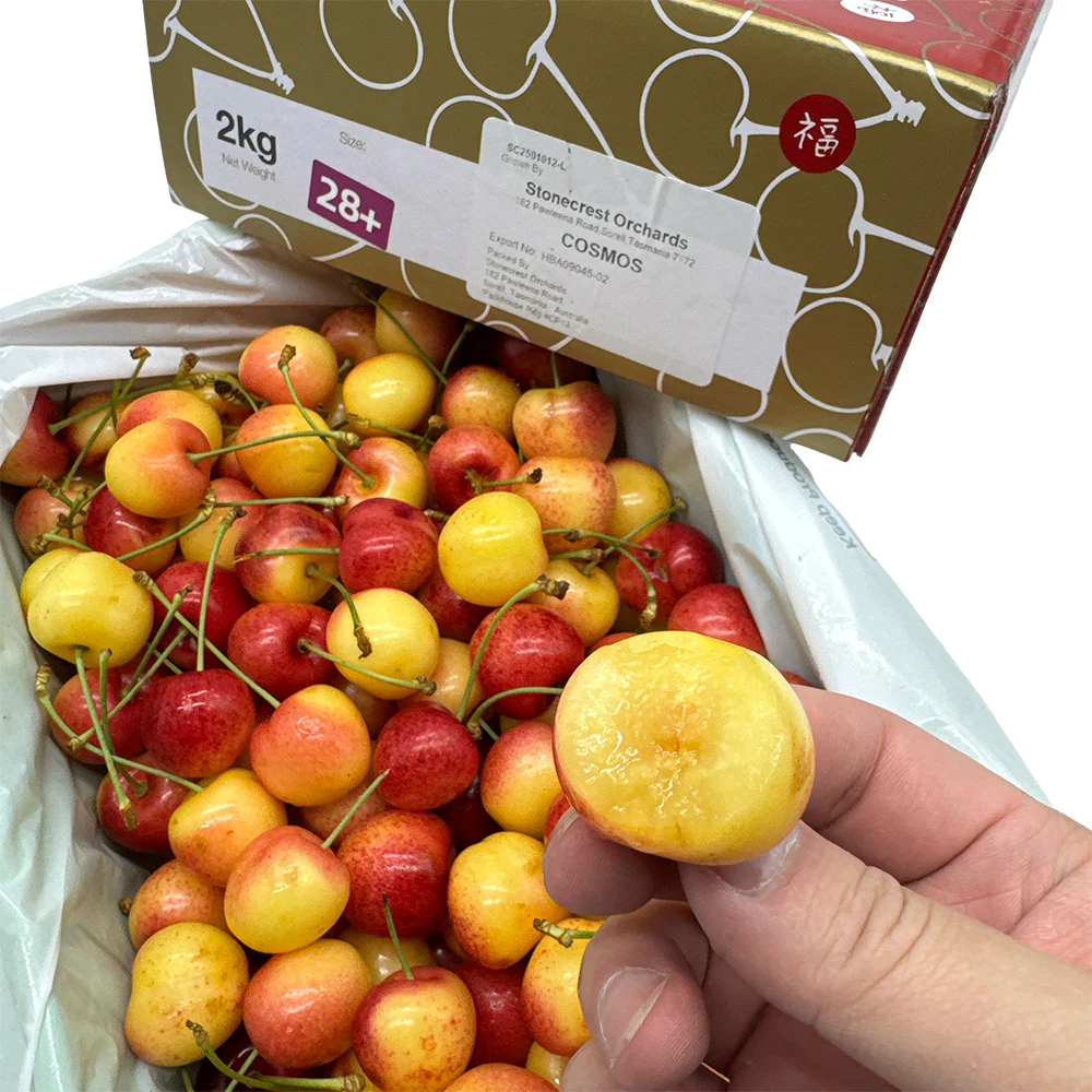 Tasmanian White Cherries Gift Box - 28mm+, 2kg - Image 4