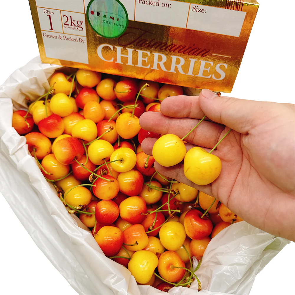 Tasmanian White Cherries Gift Box - 2kg - Image 2