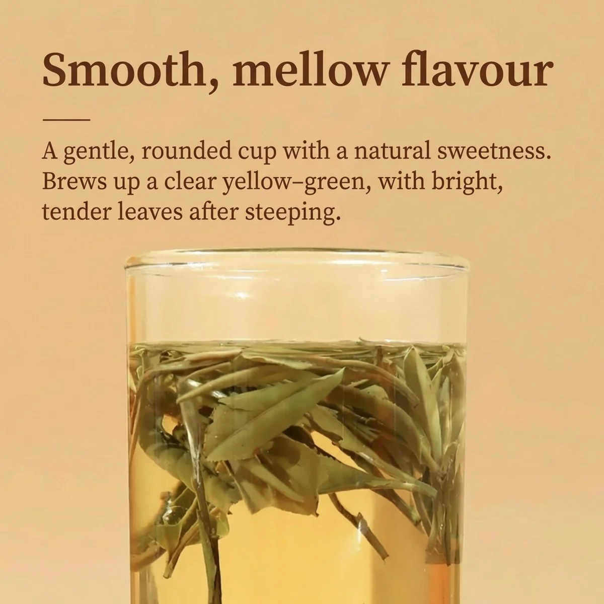 Tea Share 2024 White Peony Tea - 50g - Image 4