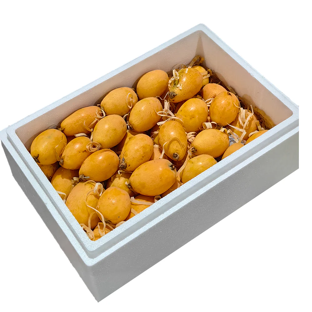 Tehillah Orchard Premium Loquat Gift Box - 2kg - Image 2