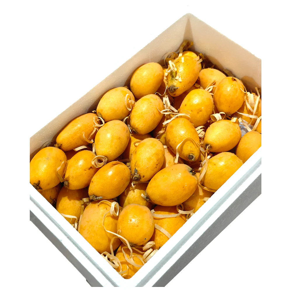 Tehillah Orchard Premium Loquat Gift Box - 2kg - Image 3