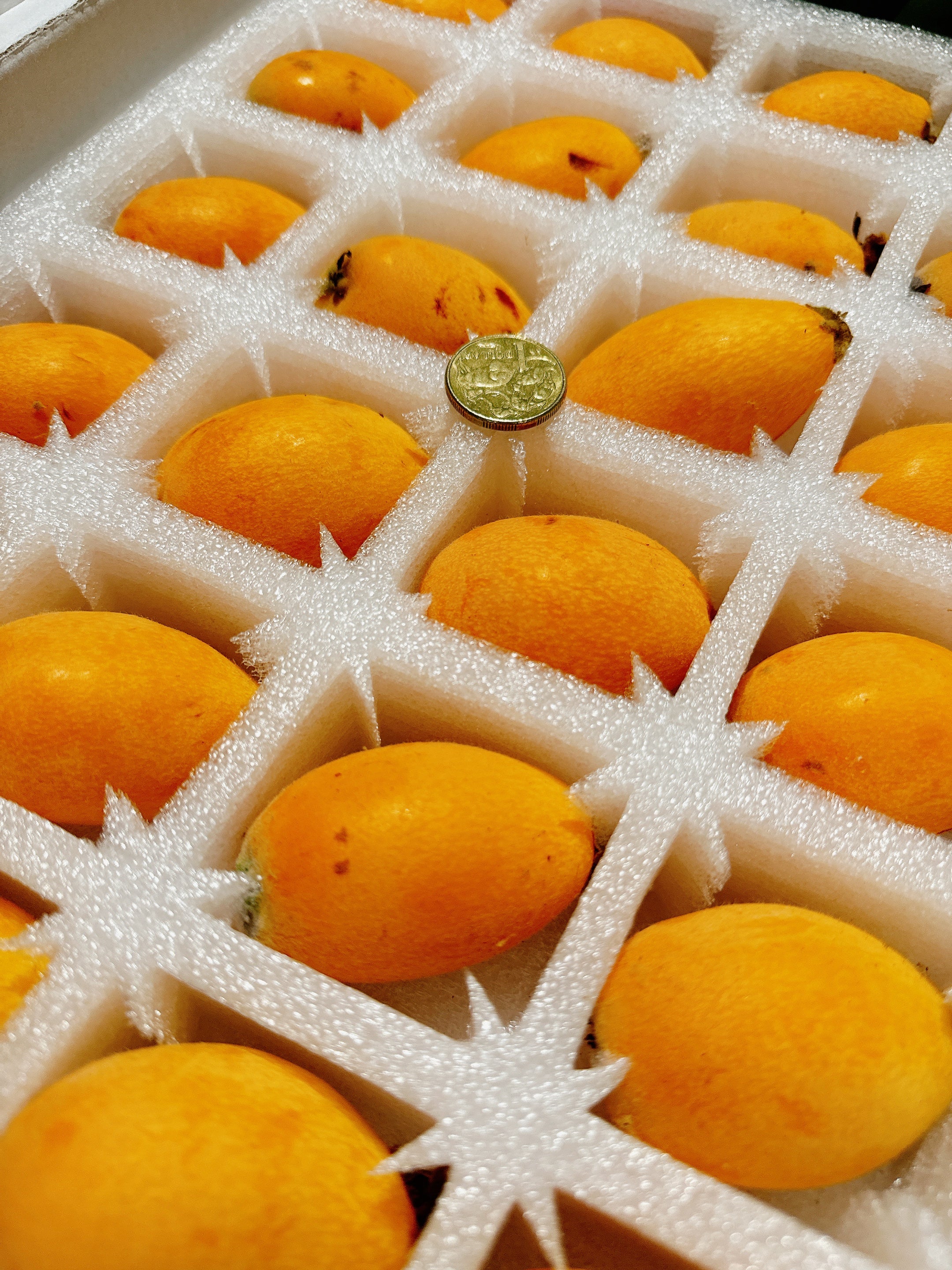 Tehillah Orchard Premium Loquat Gift Box XL - 1kg - Image 2