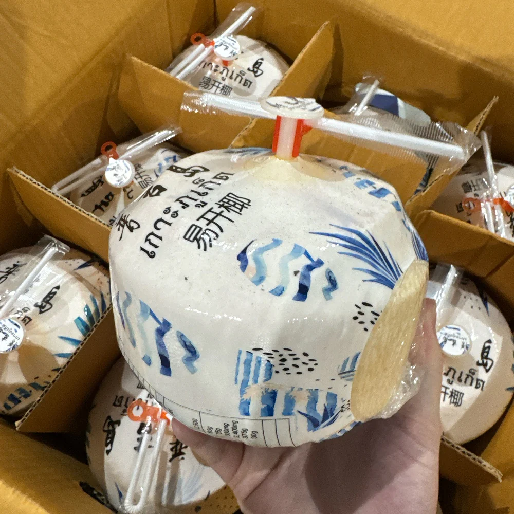 Thai Fragrant Easy-Open Young Coconuts - Box of 9 - Image 3