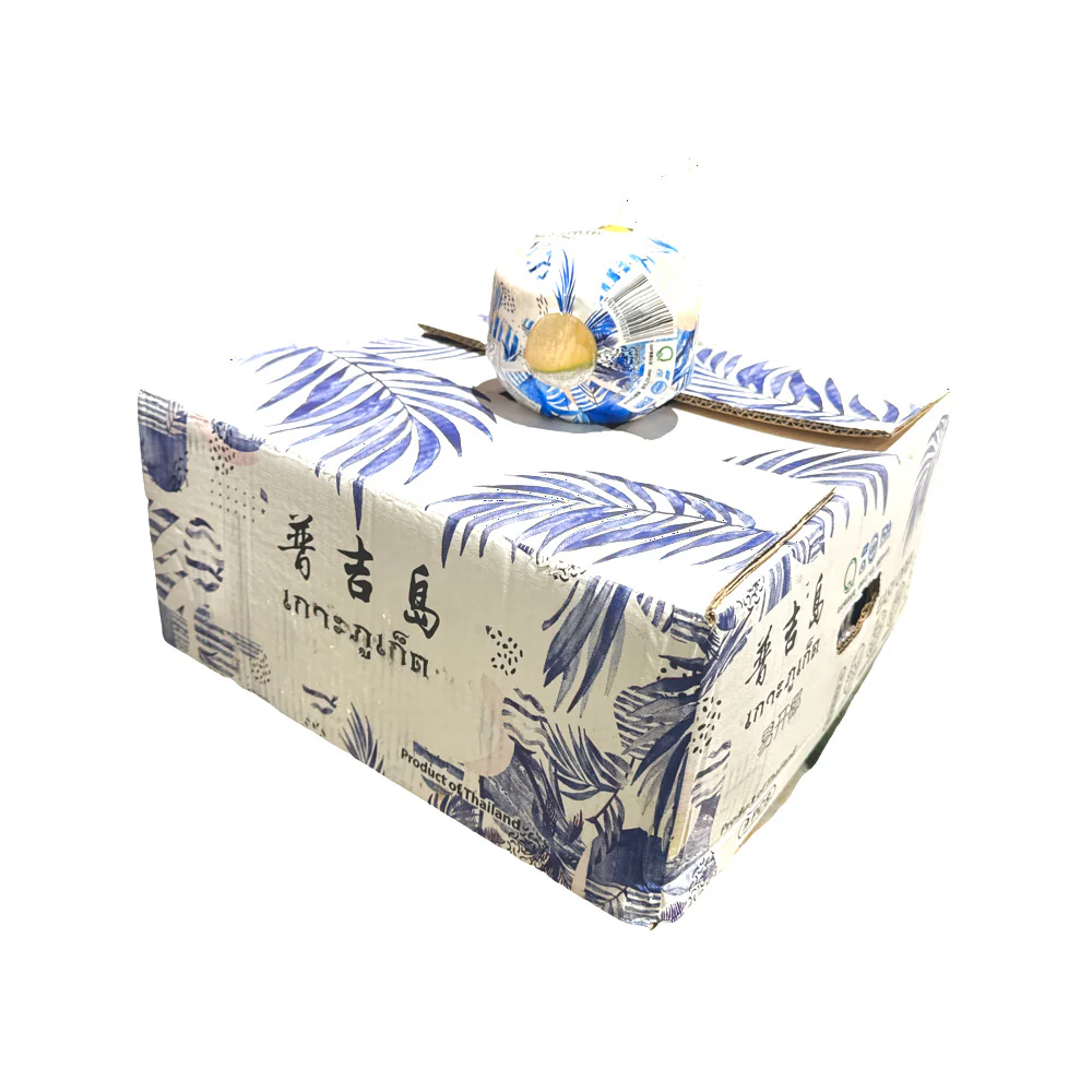 Thai Fragrant Easy-Open Young Coconuts - Box of 9 - Image 5