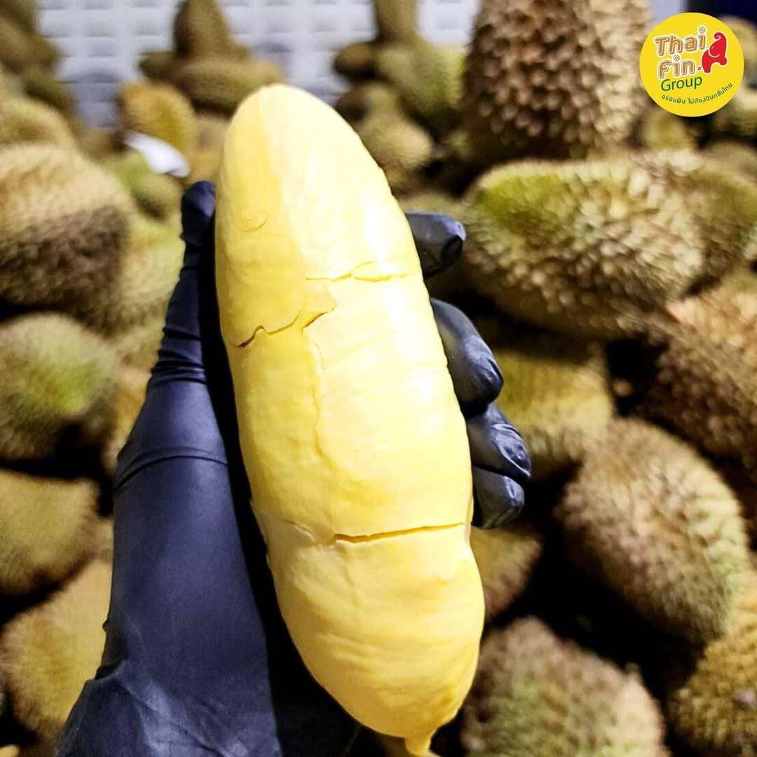 Thai Fresh Premium Monthong Durian - 500g - Image 3