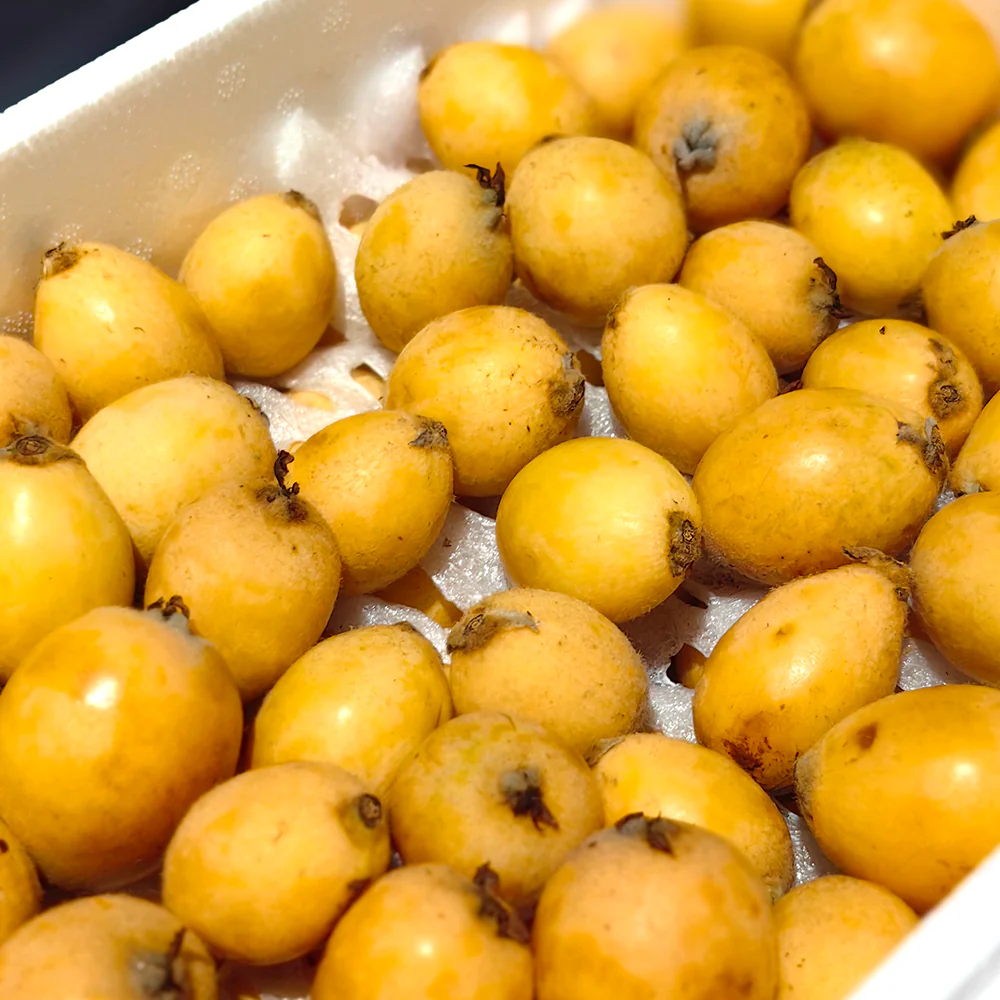 Thai Loquat Gift Box S/M - 2kg - Image 2